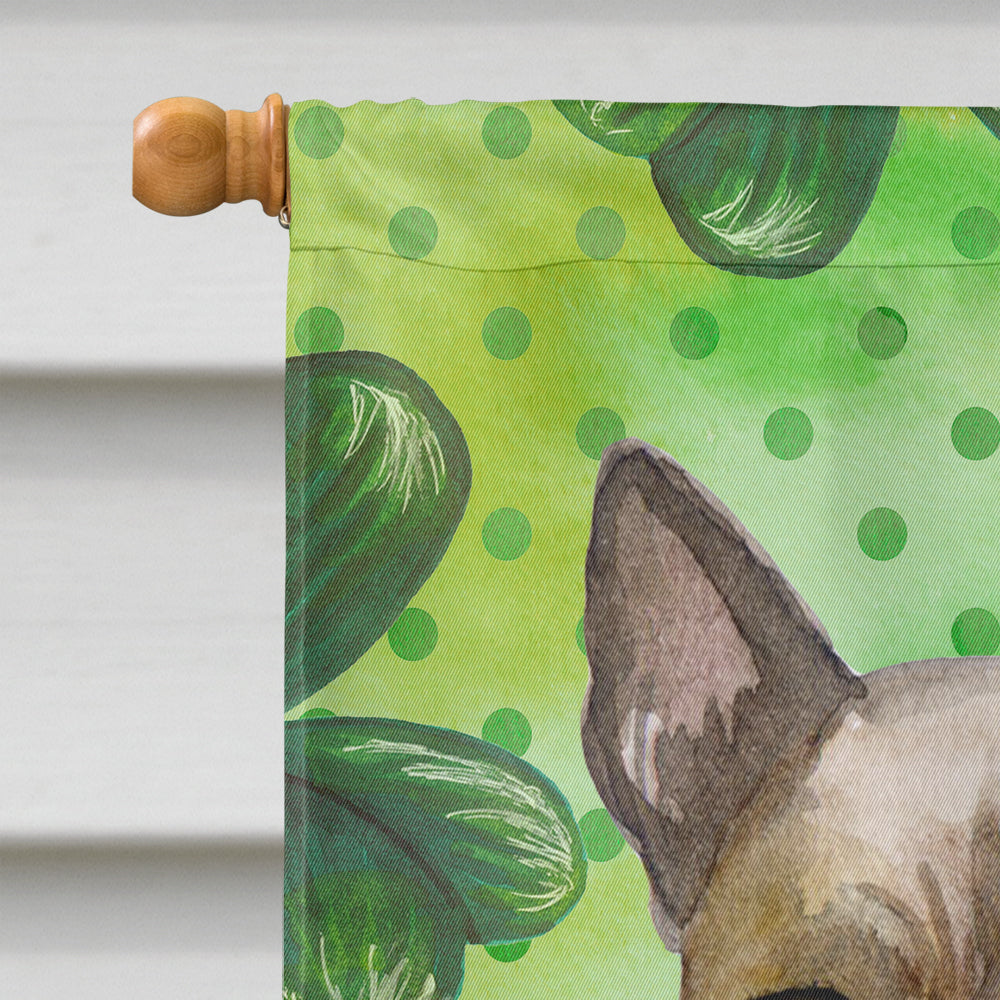 Thai Ridgeback St Patrick's House Flag 28x40 Porch Sleeve Pole Decorative Outside Yard Banner Artwork Wall Hanging, Polyester