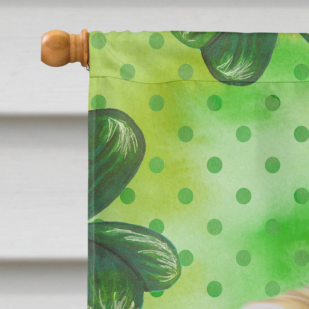 Pekingese St Patrick's House Flag 28x40 Porch Sleeve Pole Decorative Outside Yard Banner Artwork Wall Hanging, Polyester