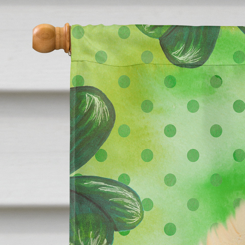 Pomeranian St Patrick's House Flag 28x40 Porch Sleeve Pole Decorative Outside Yard Banner Artwork Wall Hanging, Polyester