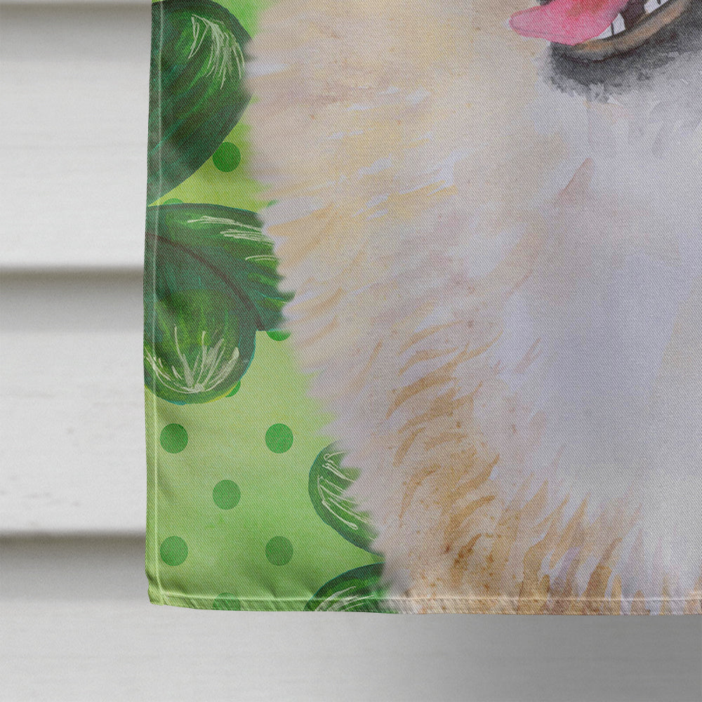 Pomeranian St Patrick's House Flag 28x40 Porch Sleeve Pole Decorative Outside Yard Banner Artwork Wall Hanging, Polyester