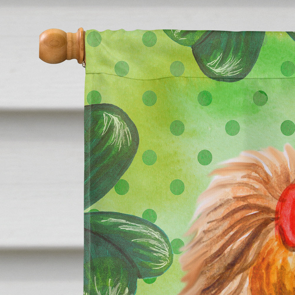 Yorkshire Terrier St Patrick's House Flag 28x40 Porch Sleeve Pole Decorative Outside Yard Banner Artwork Wall Hanging, Polyester