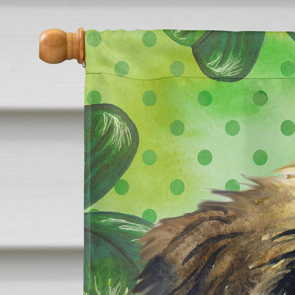 Brussels Griffon St Patrick's House Flag 28x40 Porch Sleeve Pole Decorative Outside Yard Banner Artwork Wall Hanging, Polyester