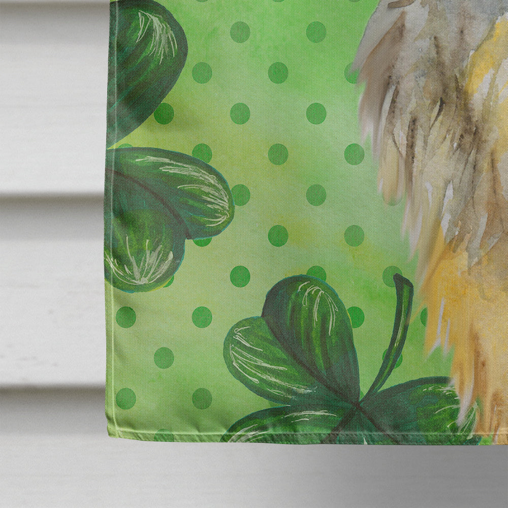 Brussels Griffon St Patrick's House Flag 28x40 Porch Sleeve Pole Decorative Outside Yard Banner Artwork Wall Hanging, Polyester