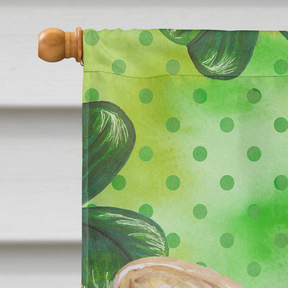 French Bulldog St Patrick's House Flag 28x40 Porch Sleeve Pole Decorative Outside Yard Banner Artwork Wall Hanging, Polyester