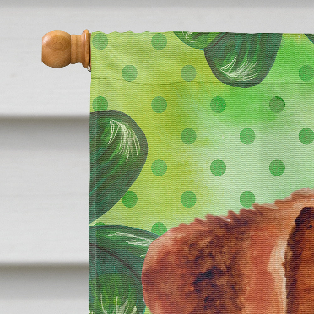 Jack Russell Terrier St Patrick's House Flag 28x40 Porch Sleeve Pole Decorative Outside Yard Banner Artwork Wall Hanging, Polyester