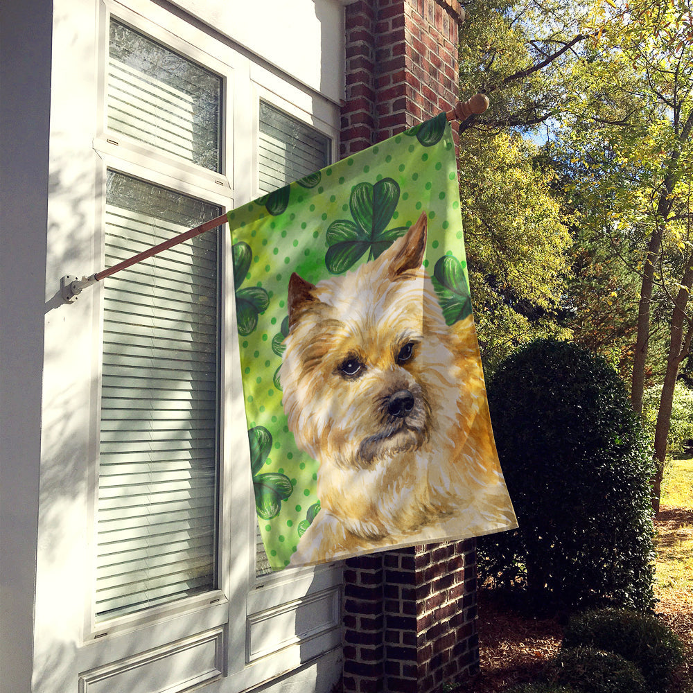 Cairn Terrier St Patrick's House Flag 28x40 Porch Sleeve Pole Decorative Outside Yard Banner Artwork Wall Hanging, Polyester