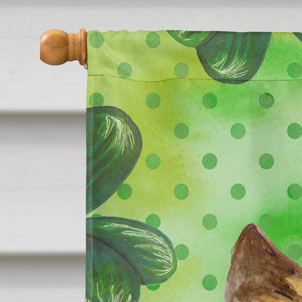 Cairn Terrier St Patrick's House Flag 28x40 Porch Sleeve Pole Decorative Outside Yard Banner Artwork Wall Hanging, Polyester