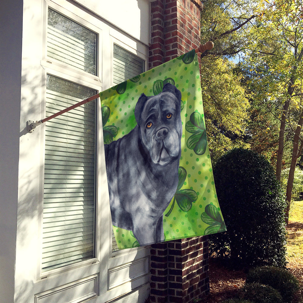 Cane Corso St Patrick's House Flag 28x40 Porch Sleeve Pole Decorative Outside Yard Banner Artwork Wall Hanging, Polyester