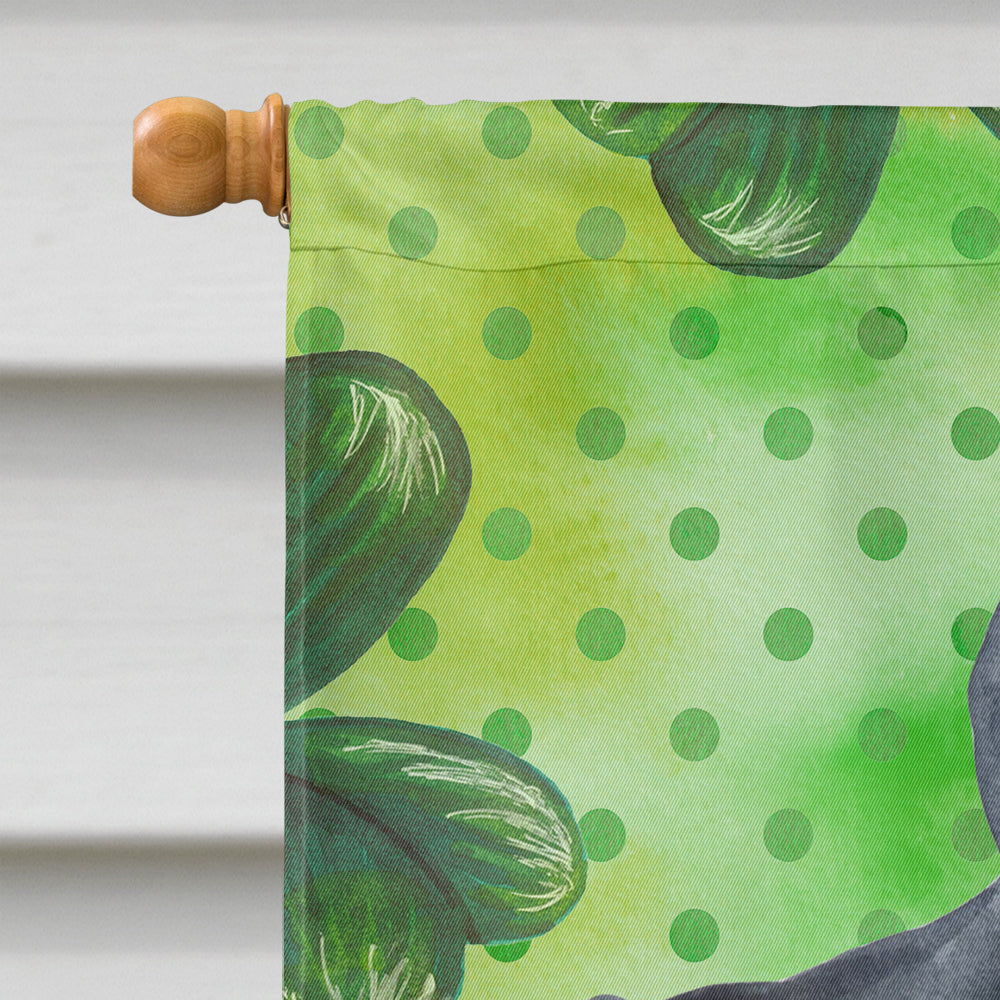 Cane Corso St Patrick's House Flag 28x40 Porch Sleeve Pole Decorative Outside Yard Banner Artwork Wall Hanging, Polyester