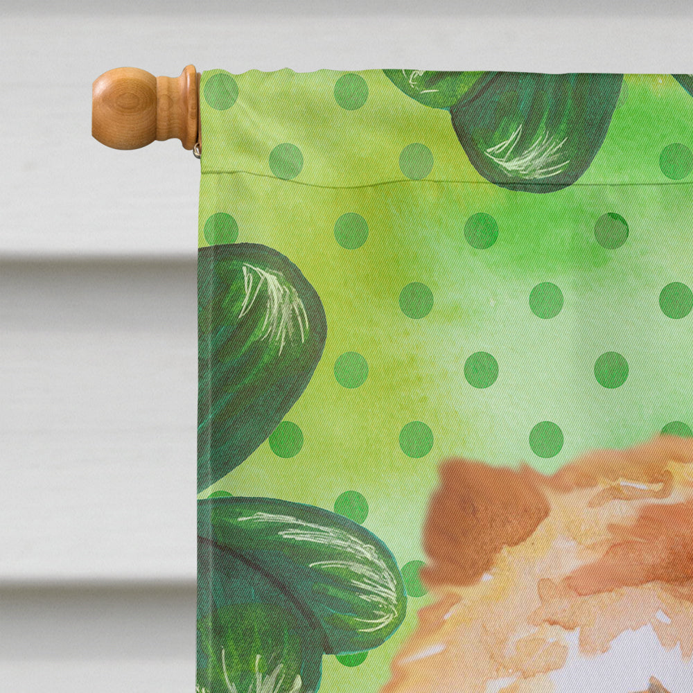 Cane Corso St Patrick's House Flag 28x40 Porch Sleeve Pole Decorative Outside Yard Banner Artwork Wall Hanging, Polyester