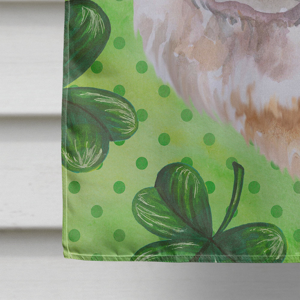 Cane Corso St Patrick's House Flag 28x40 Porch Sleeve Pole Decorative Outside Yard Banner Artwork Wall Hanging, Polyester