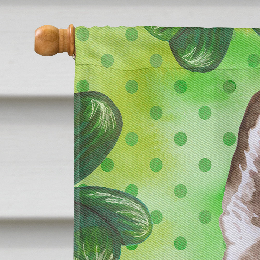 Siberian Husky Grey St Patrick's House Flag 28x40 Porch Sleeve Pole Decorative Outside Yard Banner Artwork Wall Hanging, Polyester