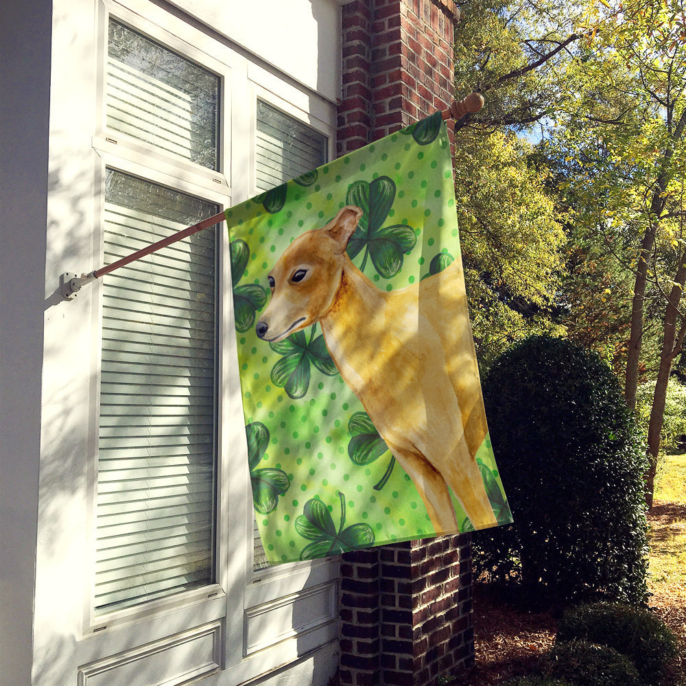 Italian Greyhound St Patrick's House Flag 28x40 Porch Sleeve Pole Decorative Outside Yard Banner Artwork Wall Hanging, Polyester