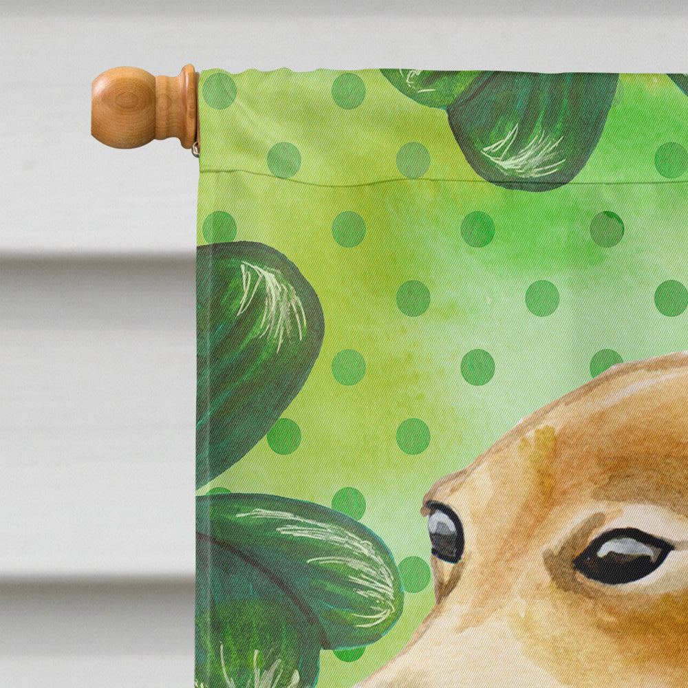Italian Greyhound St Patrick's House Flag 28x40 Porch Sleeve Pole Decorative Outside Yard Banner Artwork Wall Hanging, Polyester