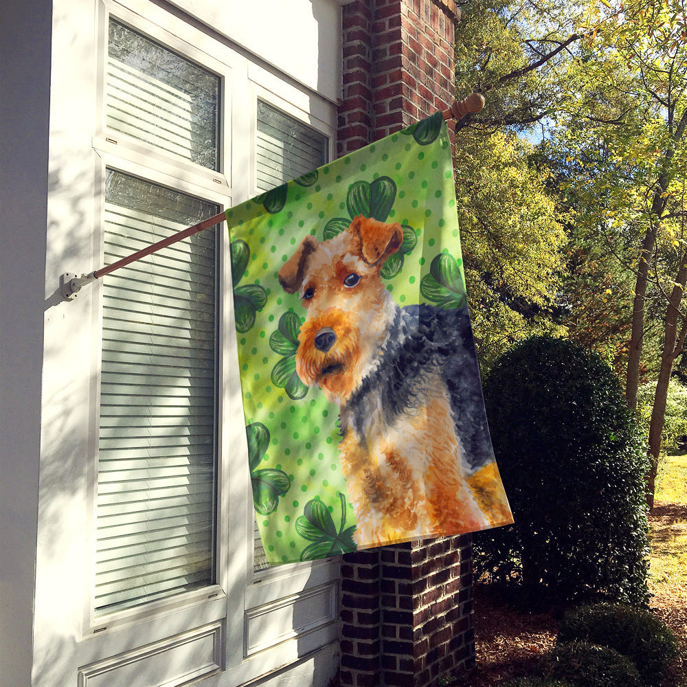 Welsh Terrier St Patrick's House Flag 28x40 Porch Sleeve Pole Decorative Outside Yard Banner Artwork Wall Hanging, Polyester