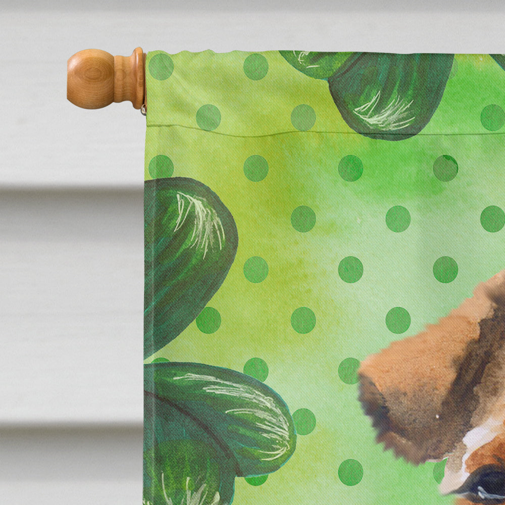 Welsh Terrier St Patrick's House Flag 28x40 Porch Sleeve Pole Decorative Outside Yard Banner Artwork Wall Hanging, Polyester