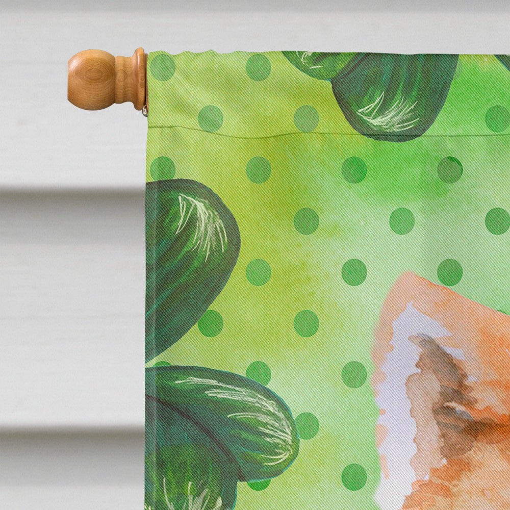 Akita St Patrick's House Flag 28x40 Porch Sleeve Pole Decorative Outside Yard Banner Artwork Wall Hanging, Polyester