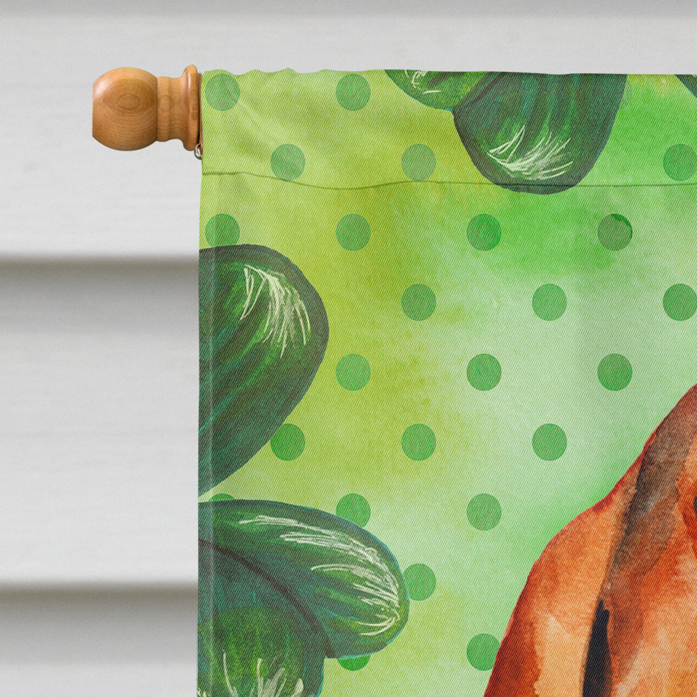 Basset Hound St Patrick's House Flag 28x40 Porch Sleeve Pole Decorative Outside Yard Banner Artwork Wall Hanging, Polyester