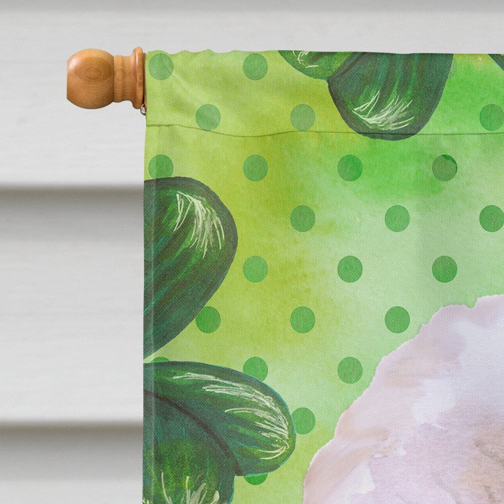 Bichon Frise #2 St Patrick's House Flag 28x40 Porch Sleeve Pole Decorative Outside Yard Banner Artwork Wall Hanging, Polyester