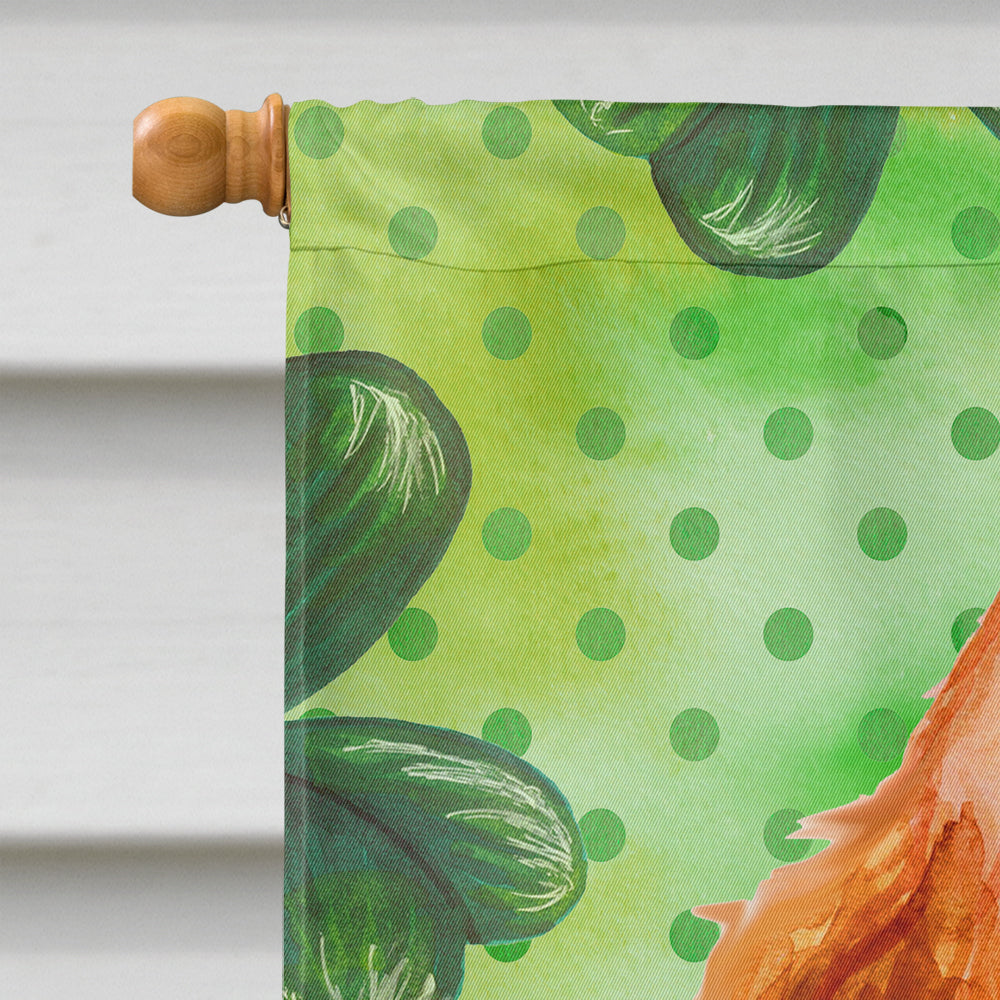 Cocker Spaniel St Patrick's House Flag 28x40 Porch Sleeve Pole Decorative Outside Yard Banner Artwork Wall Hanging, Polyester