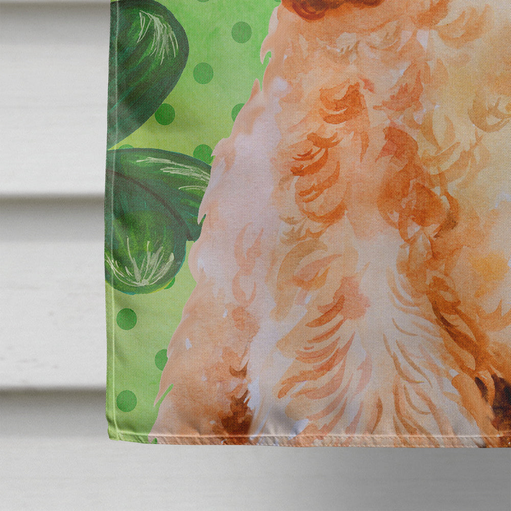 Cocker Spaniel St Patrick's House Flag 28x40 Porch Sleeve Pole Decorative Outside Yard Banner Artwork Wall Hanging, Polyester