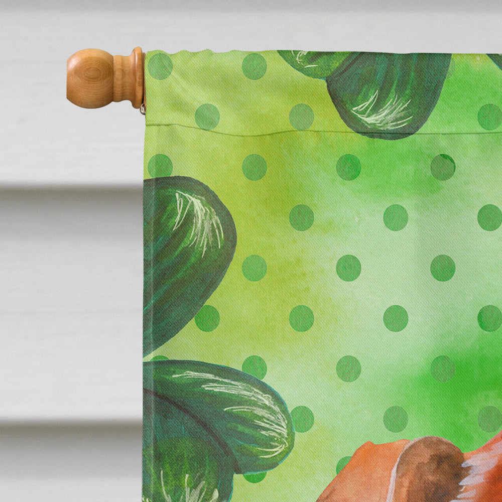 Red Dachshund St Patrick's House Flag 28x40 Porch Sleeve Pole Decorative Outside Yard Banner Artwork Wall Hanging, Polyester