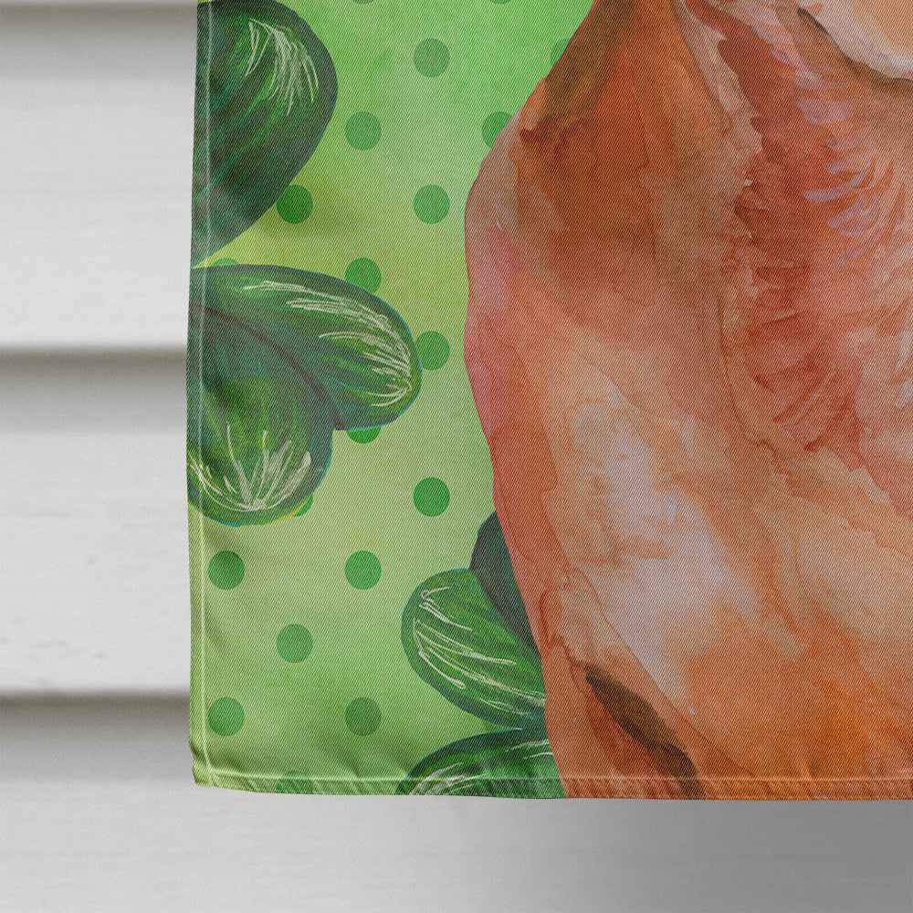 Red Dachshund St Patrick's House Flag 28x40 Porch Sleeve Pole Decorative Outside Yard Banner Artwork Wall Hanging, Polyester