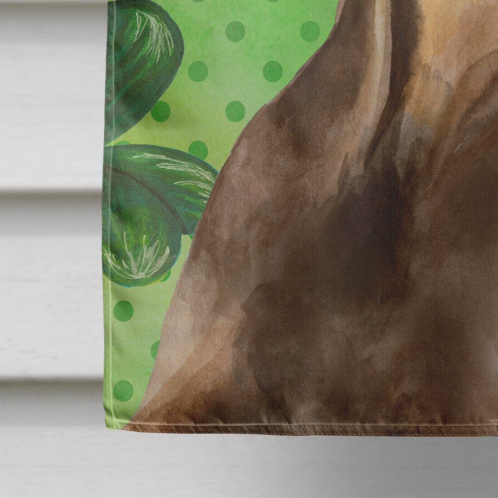 Doberman Pinscher St Patrick's House Flag 28x40 Porch Sleeve Pole Decorative Outside Yard Banner Artwork Wall Hanging, Polyester