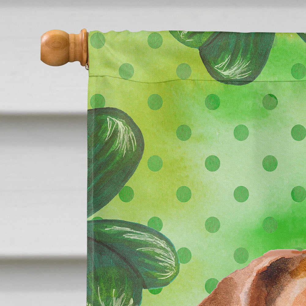 Jack Russell Terrier #2 St Patrick's House Flag 28x40 Porch Sleeve Pole Decorative Outside Yard Banner Artwork Wall Hanging, Polyester