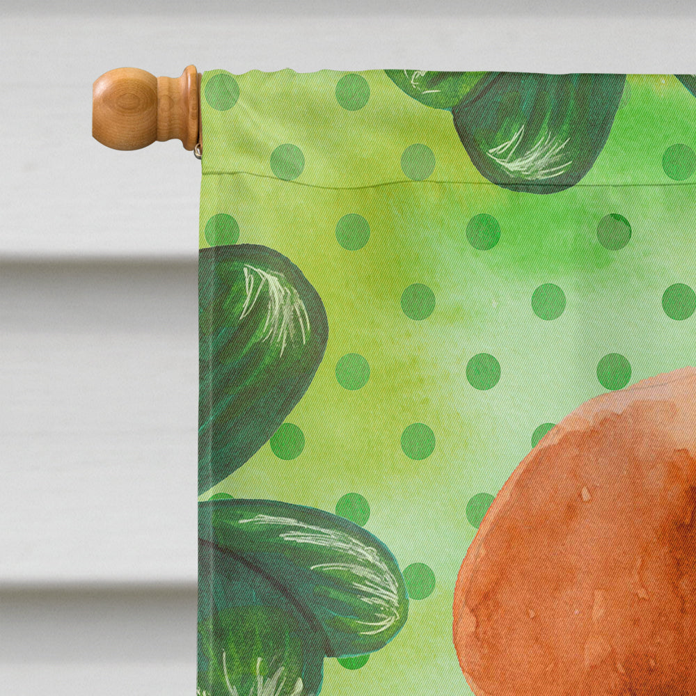 Labrador Retriever St Patrick's House Flag 28x40 Porch Sleeve Pole Decorative Outside Yard Banner Artwork Wall Hanging, Polyester