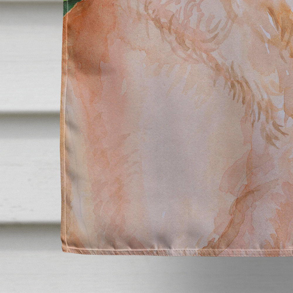 Labrador Retriever St Patrick's House Flag 28x40 Porch Sleeve Pole Decorative Outside Yard Banner Artwork Wall Hanging, Polyester