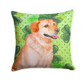 Labrador Retriever St Patrick's Decorative Throw Pillow 14x14 Indoor Outdoor Accent Cushion, Fabric Cover with Insert for Sofa, Bed, Porch & Living Room