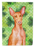 Pharaoh Hound St Patrick's House Flag 28x40 Porch Sleeve Pole Decorative Outside Yard Banner Artwork Wall Hanging, Polyester