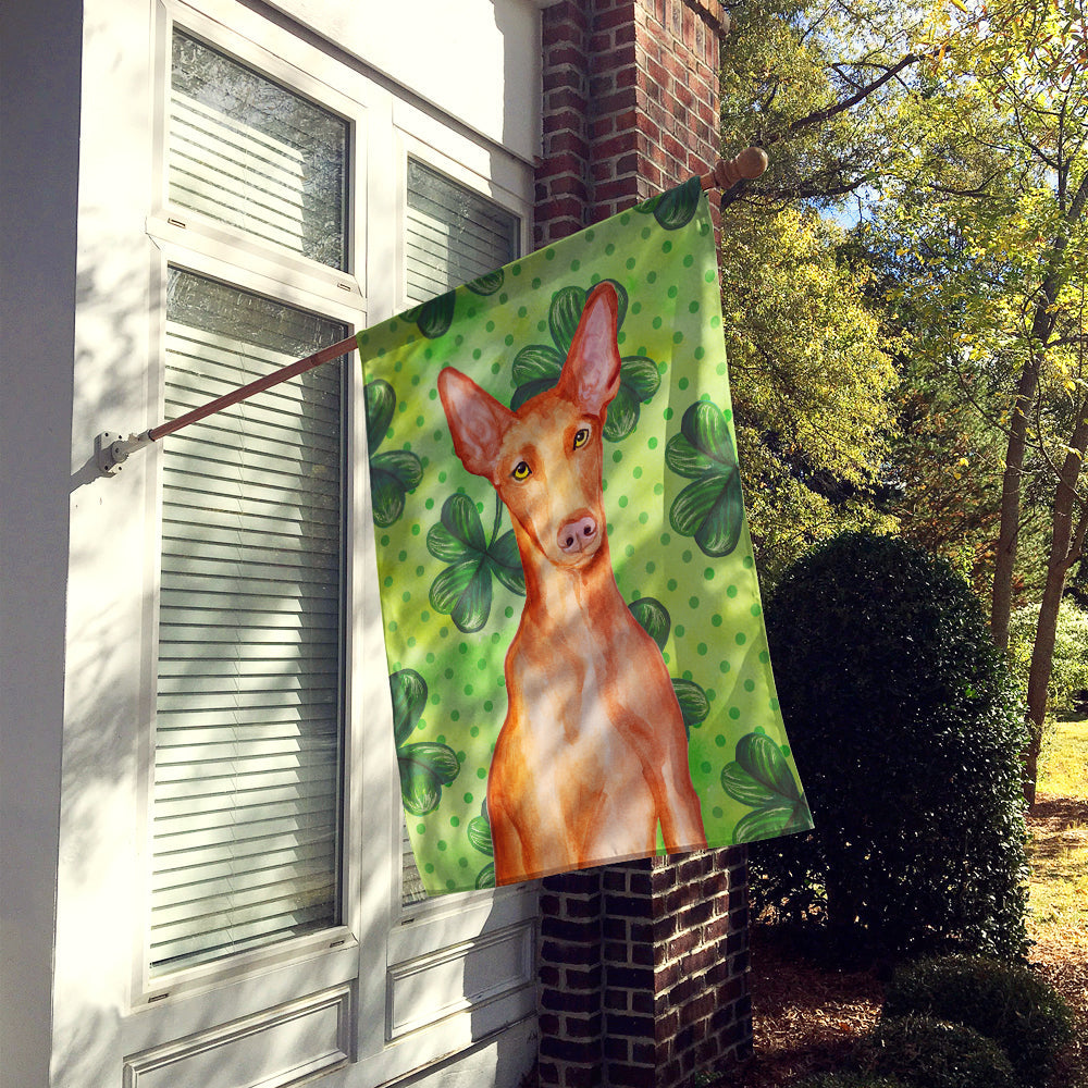 Pharaoh Hound St Patrick's House Flag 28x40 Porch Sleeve Pole Decorative Outside Yard Banner Artwork Wall Hanging, Polyester