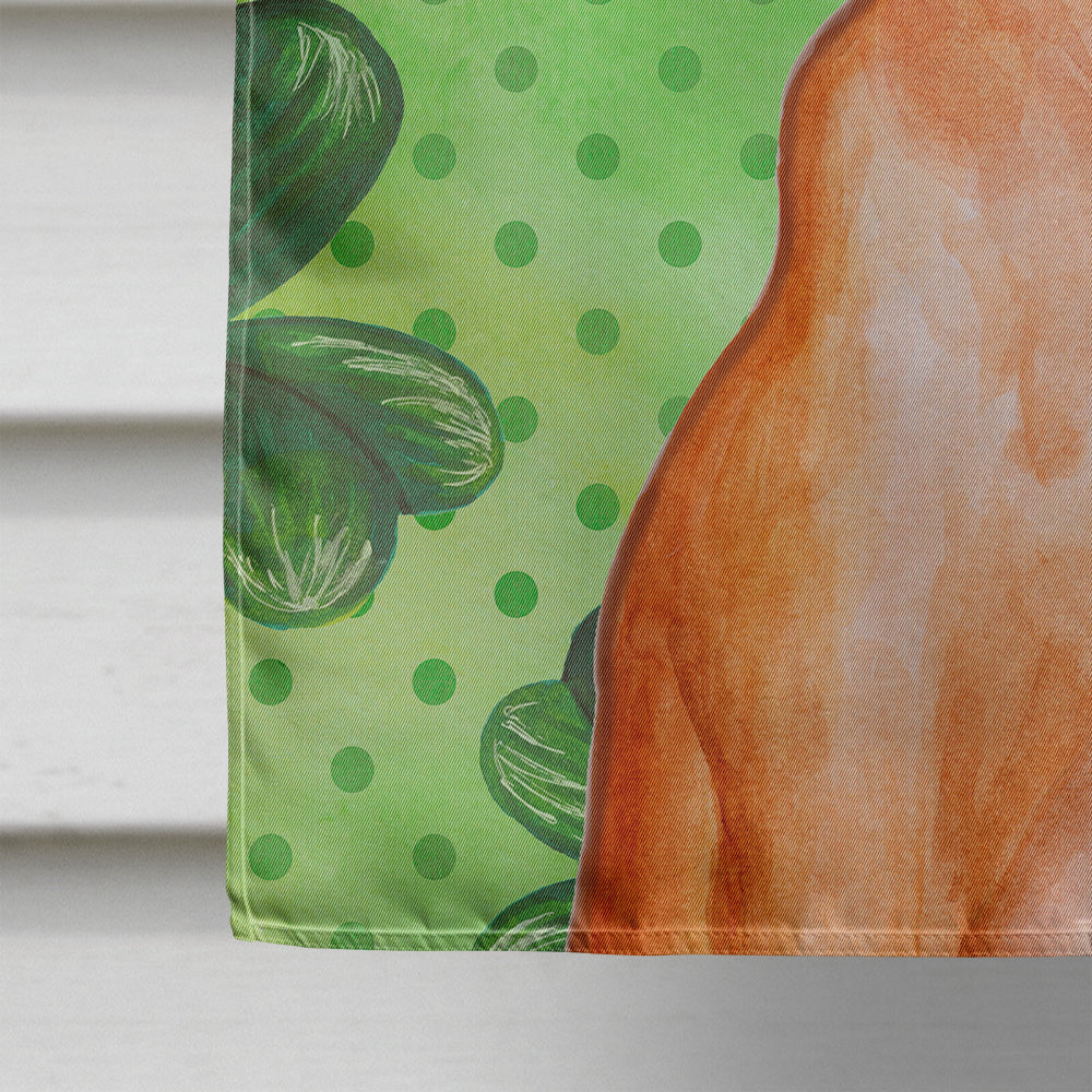 Pharaoh Hound St Patrick's House Flag 28x40 Porch Sleeve Pole Decorative Outside Yard Banner Artwork Wall Hanging, Polyester