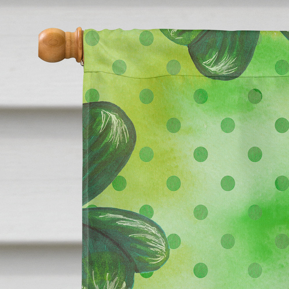 Pomeranian #2 St Patrick's House Flag 28x40 Porch Sleeve Pole Decorative Outside Yard Banner Artwork Wall Hanging, Polyester