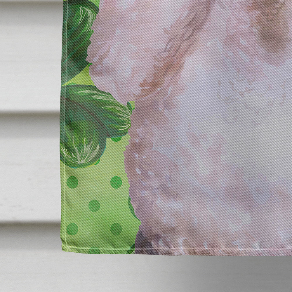 White Standard Poodle St Patrick's House Flag 28x40 Porch Sleeve Pole Decorative Outside Yard Banner Artwork Wall Hanging, Polyester