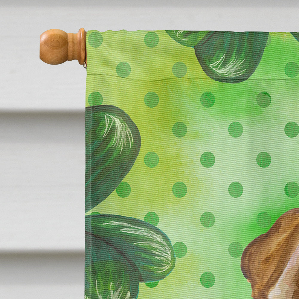 Shar Pei Puppy St Patrick's House Flag 28x40 Porch Sleeve Pole Decorative Outside Yard Banner Artwork Wall Hanging, Polyester