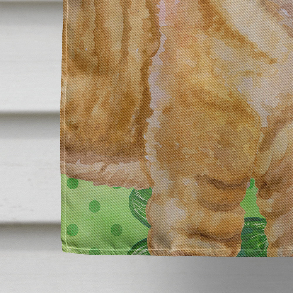 Shar Pei Puppy St Patrick's House Flag 28x40 Porch Sleeve Pole Decorative Outside Yard Banner Artwork Wall Hanging, Polyester