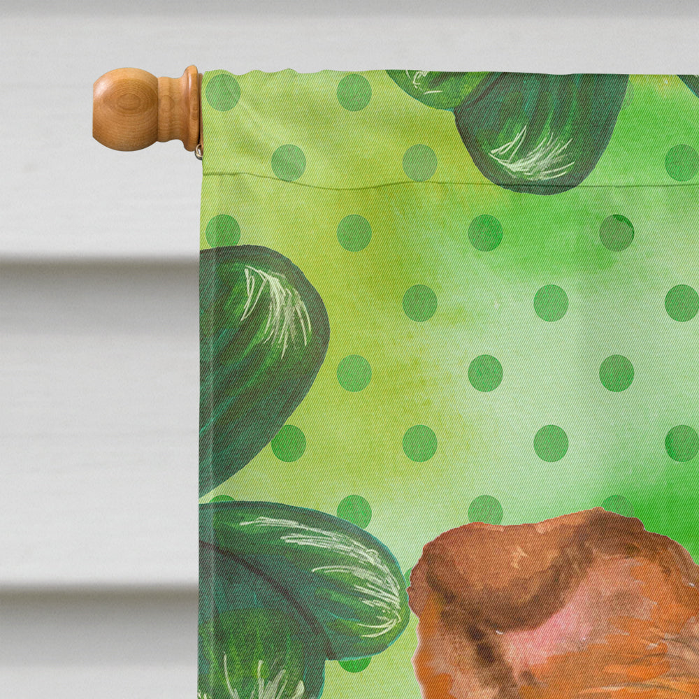 Sheltie St Patrick's House Flag 28x40 Porch Sleeve Pole Decorative Outside Yard Banner Artwork Wall Hanging, Polyester