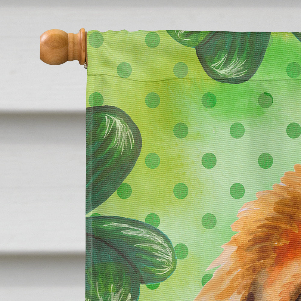 Tibetan Mastiff St Patrick's House Flag 28x40 Porch Sleeve Pole Decorative Outside Yard Banner Artwork Wall Hanging, Polyester
