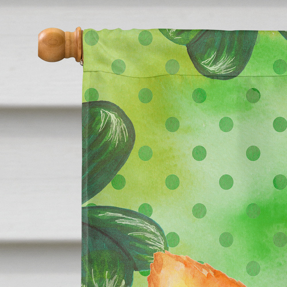 Toy Terrier St Patrick's House Flag 28x40 Porch Sleeve Pole Decorative Outside Yard Banner Artwork Wall Hanging, Polyester
