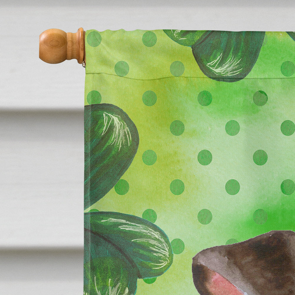 Miniature Pinscher #2 St Patrick's House Flag 28x40 Porch Sleeve Pole Decorative Outside Yard Banner Artwork Wall Hanging, Polyester