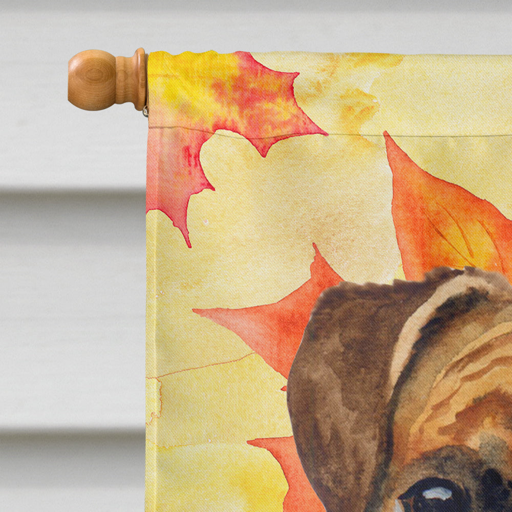 German Boxer Fall House Flag 28x40 Porch Sleeve Pole Decorative Outside Yard Banner Artwork Wall Hanging, Polyester