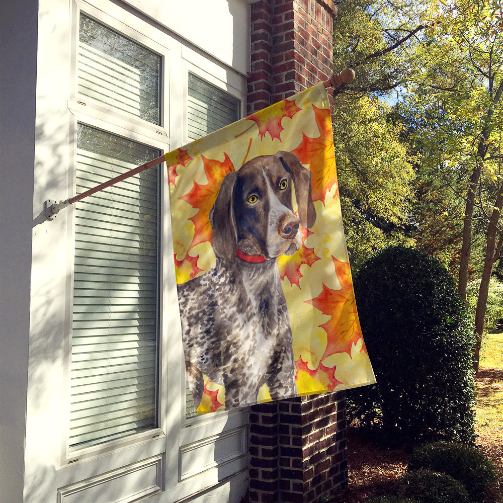 German Shorthaired Pointer Fall House Flag 28x40 Porch Sleeve Pole Decorative Outside Yard Banner Artwork Wall Hanging, Polyester
