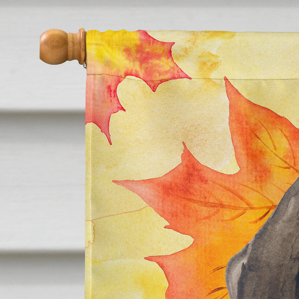 German Shorthaired Pointer Fall House Flag 28x40 Porch Sleeve Pole Decorative Outside Yard Banner Artwork Wall Hanging, Polyester