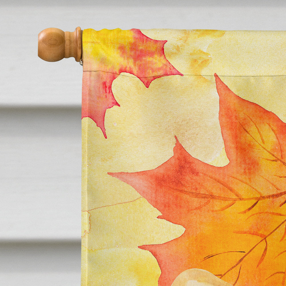 Pembroke Corgi Fall House Flag 28x40 Porch Sleeve Pole Decorative Outside Yard Banner Artwork Wall Hanging, Polyester