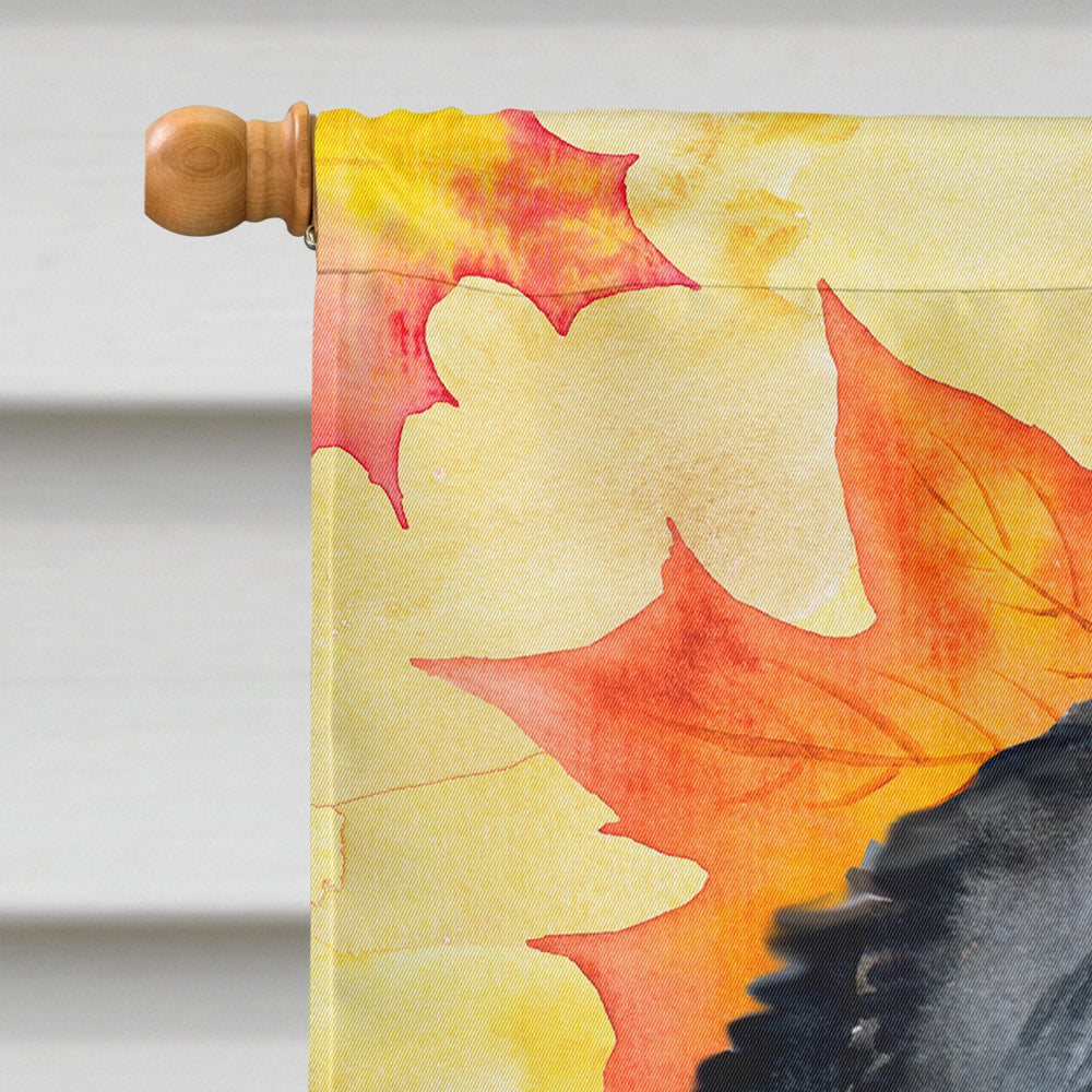 Bernese Mountain Dog Fall House Flag 28x40 Porch Sleeve Pole Decorative Outside Yard Banner Artwork Wall Hanging, Polyester