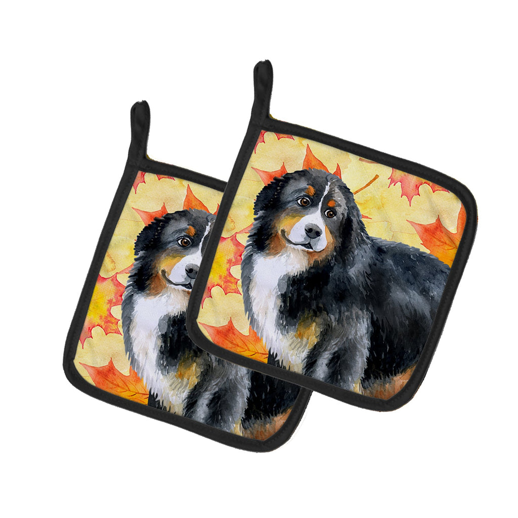 Bernese Mountain Dog Fall Pot Holder Set of 2 Heat Resistant Quilted Hot Pads 7.5 x 7.5 Inch, Insulated Kitchen Trivets for Cooking & Baking