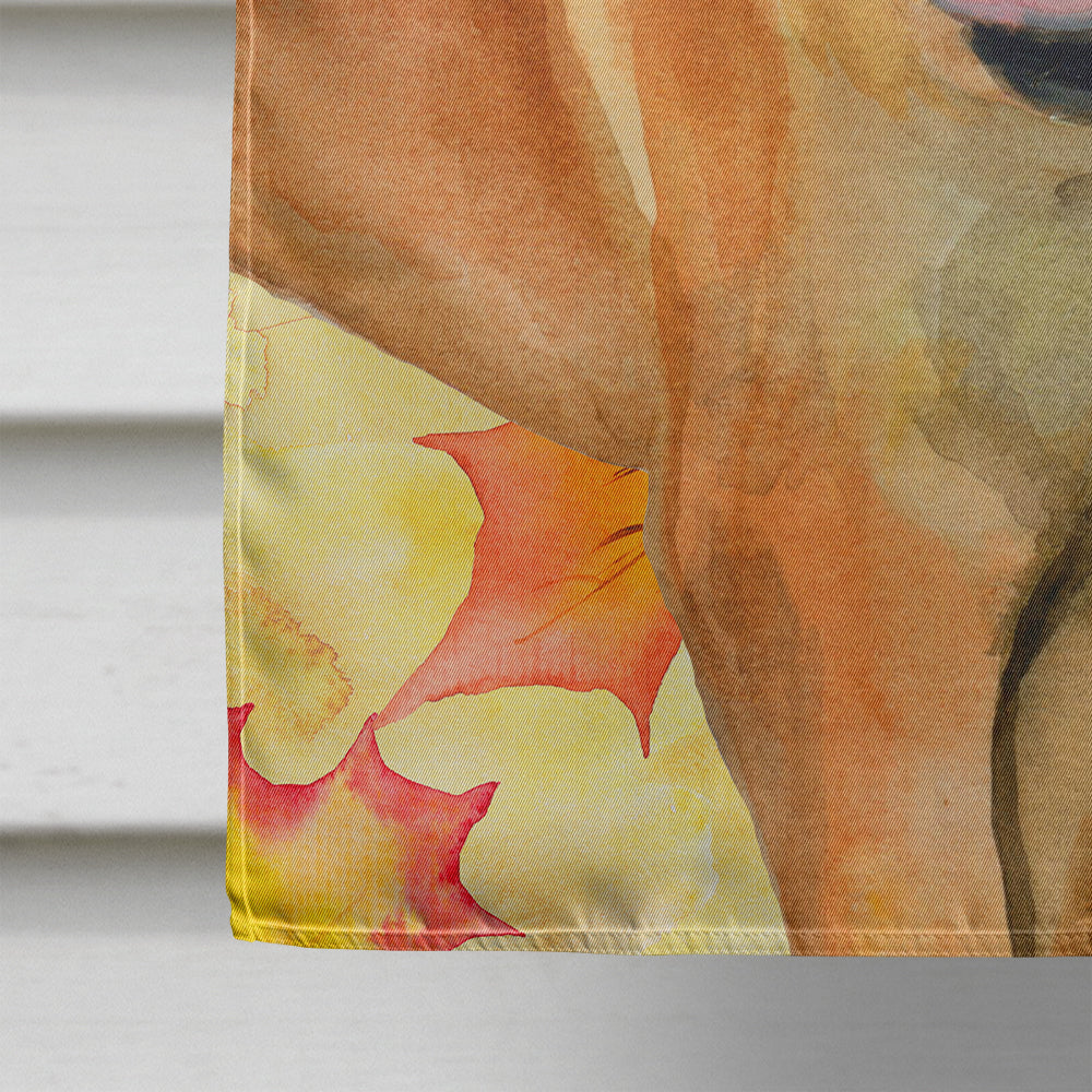 Boerboel Mastiff Fall House Flag 28x40 Porch Sleeve Pole Decorative Outside Yard Banner Artwork Wall Hanging, Polyester